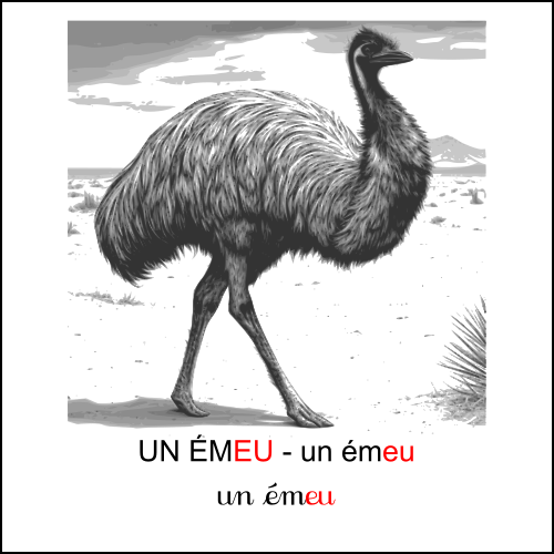 émeu